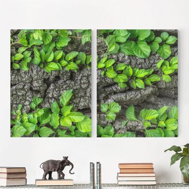 Canvas schilderijen - 2-delig  Ivy Tendrils Tree Bark
