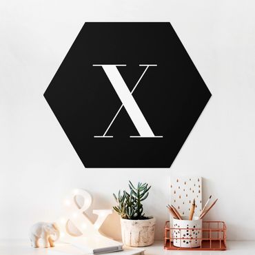 Hexagons Forex schilderijen Letter Serif Black X