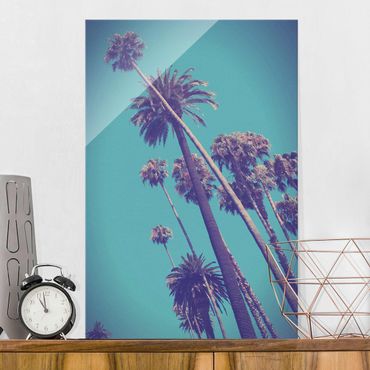 Glasschilderijen Tropical Plants Palm Trees And Sky