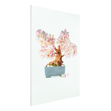 Forex schilderijen Bonsai With Marshmallows