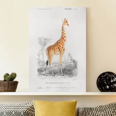Canvas schilderijen Vintage Board Giraffe