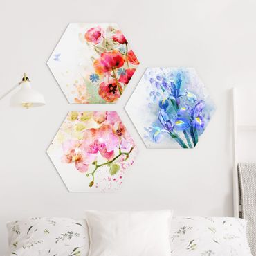 Hexagons Forex schilderijen - 3-delig Watercolour Flower Trio