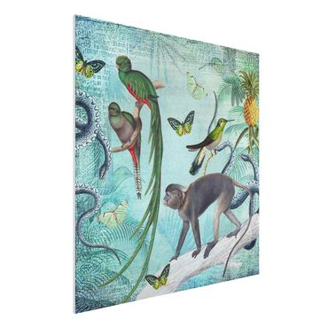 Forex schilderijen Colonial Style Collage - Monkeys And Birds Of Paradise