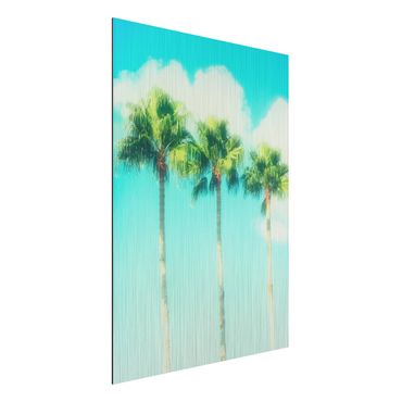 Aluminium Dibond schilderijen Palm Trees Against Blue Sky