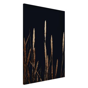 Magneetborden Graphical Plant World - Golden Reed