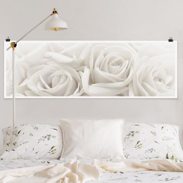 Posters White Roses