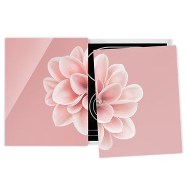 Kookplaat afdekplaten Dahlia Pink Blush Flower Centered