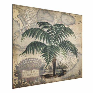 Aluminium Dibond schilderijen Vintage Collage - Palm And World Map