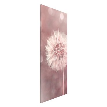 Magneetborden Dandelion Bokeh Light Pink