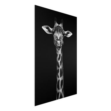 Forex schilderijen Dark Giraffe Portrait