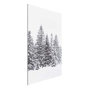 Aluminium Dibond schilderijen Dark Winter Landscape