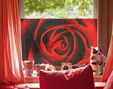 Raamfolie Lovely Rose
