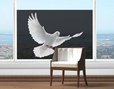 Raamfolie Dove Of Peace