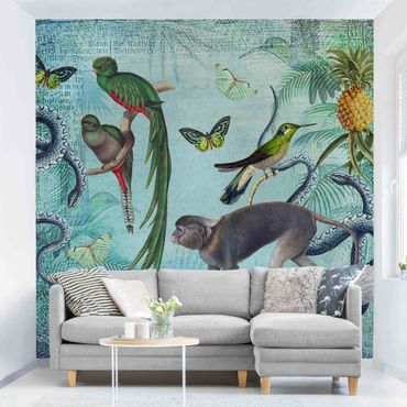 Fotobehang Colonial Style Collage - Monkeys And Birds Of Paradise