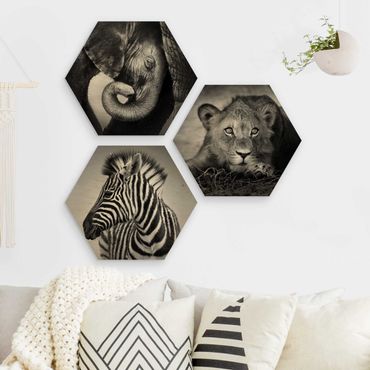 Hexagons houten schilderijen - 3-delig Baby Animals