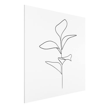 Forex schilderijen Line Art Plant Leaves Black And White