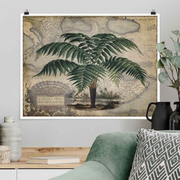 Posters Vintage Collage - Palm And World Map