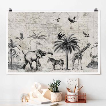 Posters Vintage Collage - Exotic Map