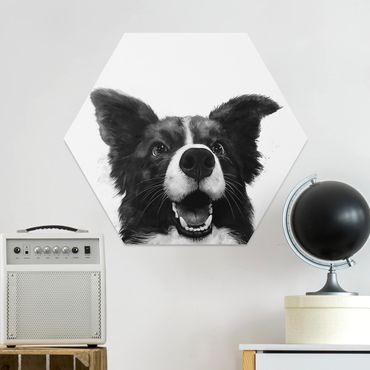 Hexagons Forex schilderijen Illustration Dog Border Collie Black And White Painting