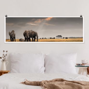 Posters Elephants in the Savannah