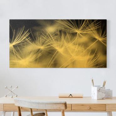 Canvas schilderijen - Goud Moving Dandelions Close Up On Black Background