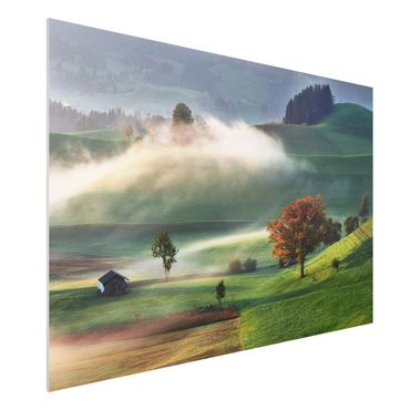 Forex schilderijen Misty Autumn Day Switzerland