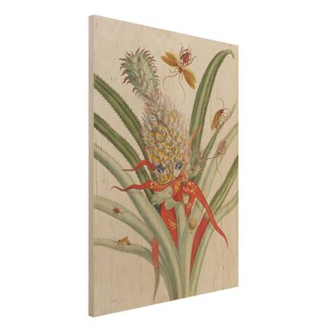 Houten schilderijen Anna Maria Sibylla Merian - Pineapple With Insects