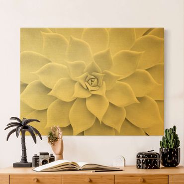 Canvas schilderijen - Goud Cactus Succulent
