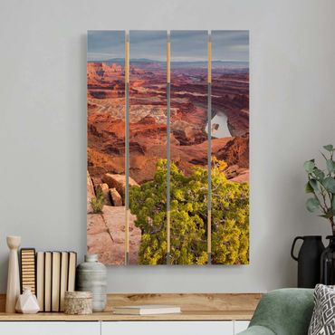 Houten schilderijen op plank Dead Horse Point Canyonlands National Park USA