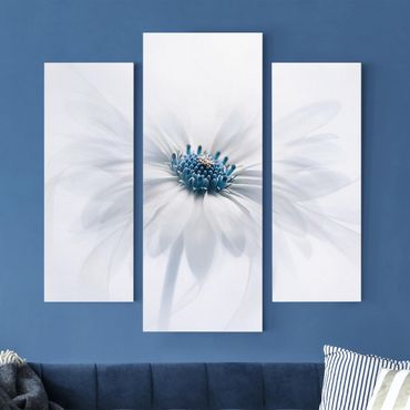 Canvas schilderijen - 3-delig Daisy In Blue
