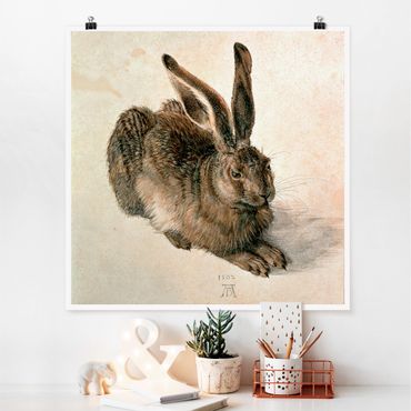 Posters Albrecht Dürer - Young Hare