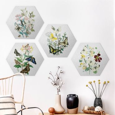 Hexagons Aluminium Dibond schilderijen - 4-delig British Butterflies Set II
