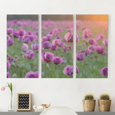 Canvas schilderijen - 3-delig Purple Poppy Flower Meadow In Spring