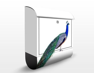 Brievenbussen Peacock