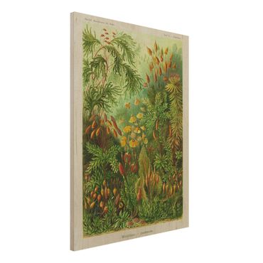 Houten schilderijen Vintage Board Moss
