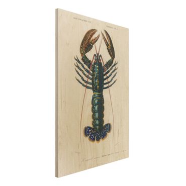 Houten schilderijen Vintage Board Blue Lobster