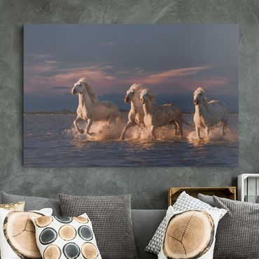 Canvas schilderijen Wild Horses In Kamargue