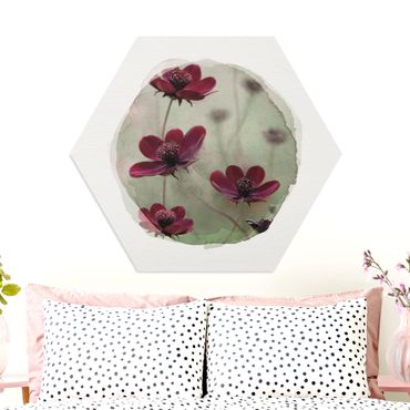 Hexagons Forex schilderijen WaterColours - Pink Kosmeen