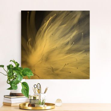 Canvas schilderijen - Goud Pollen Black And White