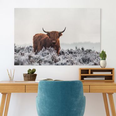 Canvas schilderijen Bison In The Highlands