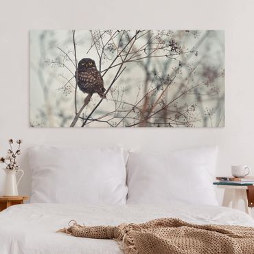 Canvas schilderijen Owl In The Winter