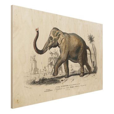 Houten schilderijen Vintage Board Elephant