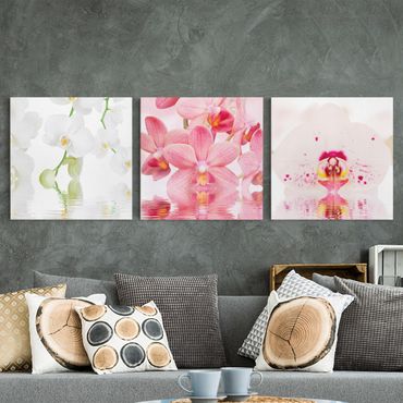 Canvas schilderijen - 3-delig Orchids On Water