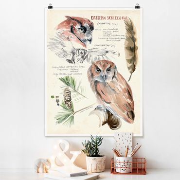 Posters Wilderness Journal - Owl
