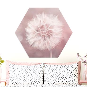 Hexagons Forex schilderijen Dandelion Pink Bokeh