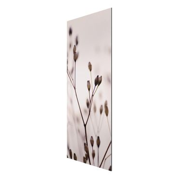 Aluminium Dibond schilderijen Dark Buds On Wild Flower Twig