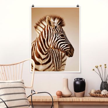 Posters Zebra Baby Portrait