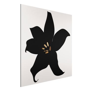 Aluminium Dibond schilderijen Graphical Plant World - Orchid Black And Gold