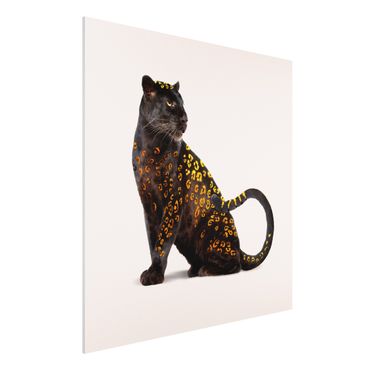 Forex schilderijen Golden Panthers