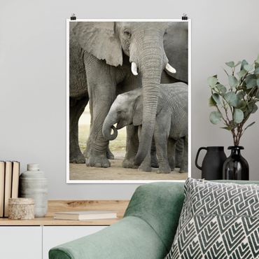 Posters Elephant Love